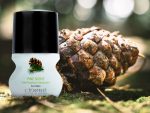 دئودورانت ضد تعریق مردانه با رایحه کاج Pine Scent سینره