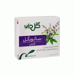قرص گیاهی ضد ترشح و عرق سالویگل گل دارو
