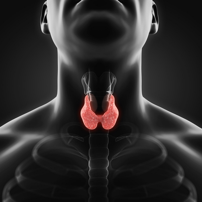 تیروئید چیست، منظور از کم کاری تیروئید و پر کاری تیروئید چیست؟