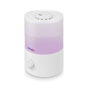 بخور سرد مدل PRO-10 بی ول